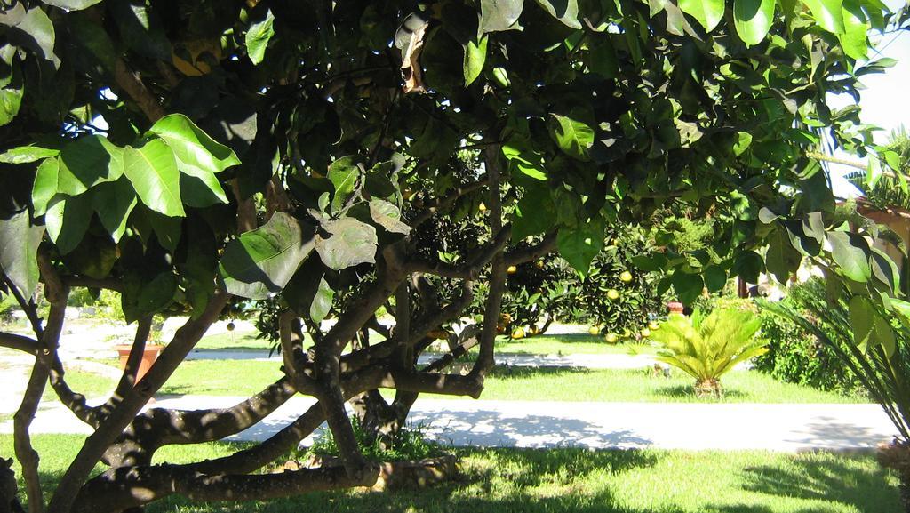 Tenuta Paifer Otranto Bagian luar foto